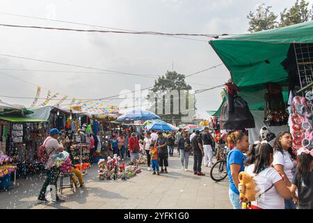 Geschäftige Marktszene im Centro de Xochimilco, mit Händlern, Käufern und farbenfrohen Dekorationen, die die Dia de Muertos-Feste feiern. Stockfoto