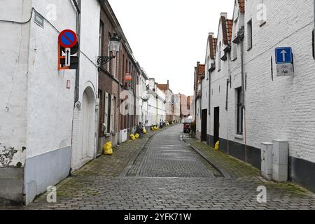 Gelbe Plastiktüten vor Häusern auf einer Straße in Brügge – Brügge, Belgien – 21. Oktober 2024 Stockfoto