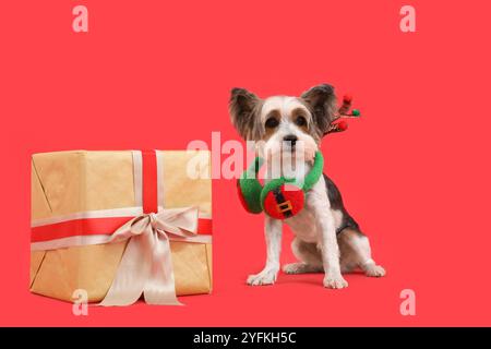 Niedlicher Biewer Terrier Hund mit Weihnachtsgeschenkkasten auf rosa Hintergrund Stockfoto