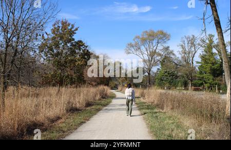 Woman Walking auf dem des Plaines River Trail im Herbst im Iroquois Woods in Park Ridge, Illinois Stockfoto