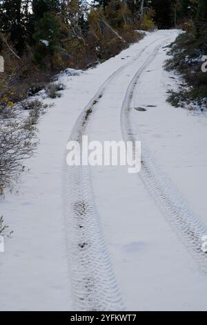 Reifenspuren auf schneebedeckten und steilen Feldwegen. Vertikal. Stockfoto