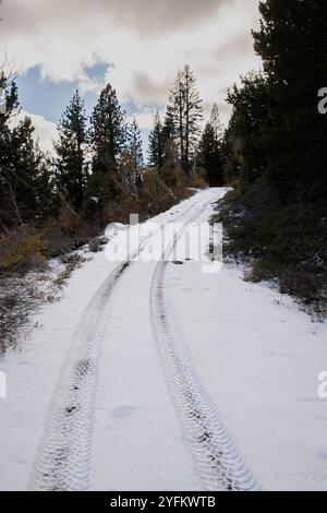 Reifenspuren auf schneebedeckten und steilen Feldwegen mit sichtbaren Wolken darüber. Vertikal. Stockfoto