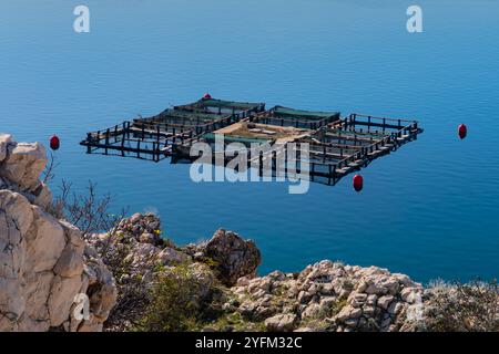 Fischteich auf der Insel Pag, Kroatien Stockfoto