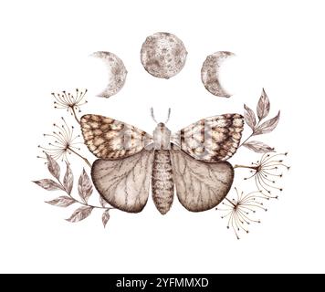 Schmetterling drei Phasen des Mondes und Grases in braunen und beigen Tönen Aquarellillustration. Kosmischer Körper isoliert vom Hintergrund. Astrologie des Mondes Stockfoto