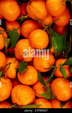 Frische Mandarinen auf weißem Hintergrund. Stockfoto