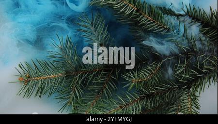 Nebelkieferzweig. Rauchwolke. Grüne Baumpflanze in blauer Farbe Tinte Wasserspritzer Nebel schwimmende Welle verbreitet abstrakten Hintergrund. Stockfoto