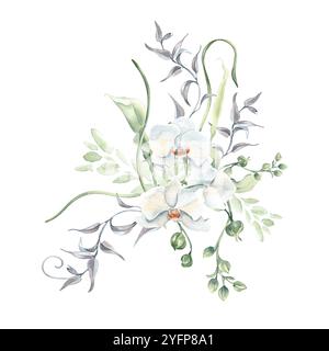 Weiße Orchideen mit weichen grünen Knospen Aquarellanordnung isoliert. Weiße Blumen, wellige Stiele und Weinstöcke, handgezeichnet in sanften Farben. Zart blumig Stockfoto