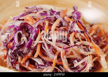 Frisch zubereiteter Krautsalat mit leuchtendem Violett- und Orangenkohl, serviert in einer rustikalen Schüssel, perfekt für Sommerversammlungen und Picknicks Stockfoto