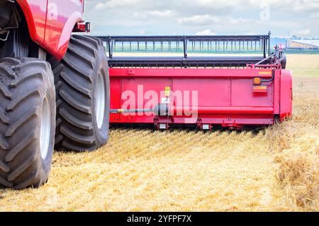Nahaufnahme eines massiven Mähdreschers auf goldenem Weizenfeld, Schneiden von Getreide, mit Maschinen und Reifen, Konzept der landwirtschaftlichen Landschaft Stockfoto
