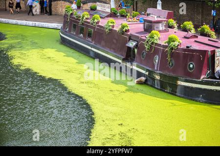 London, Großbritannien - 10. Juli 2019 - Waterside Cafe am Regents Canal rund um Little Venice Stockfoto