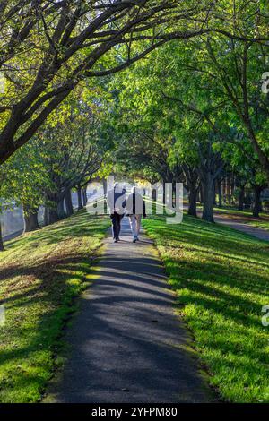 Ein älteres Paar, das auf einem Fußweg in einer Allee mit Bäumen am Royal Military Canal, Hythe, Kent, spaziert. Stockfoto