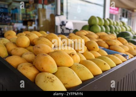 Verkauf tropischer Früchte auf dem Straßenmarkt. Reife gelbe Mangos auf den Regalen Stockfoto