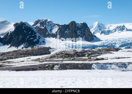 Schneebedeckte Berglandschaft mit Pinguinkolonie auf Felsen an der Petermann Island Bay in der Antarktis Stockfoto