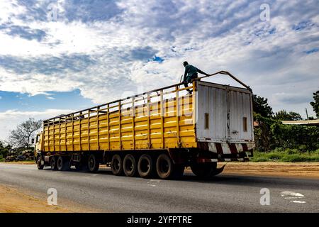 Viehtransporter auf der Küstenstraße, Ghana Stockfoto