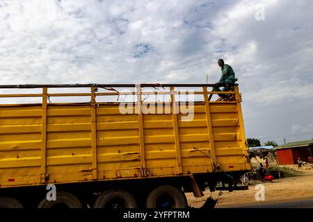 Viehtransporter auf der Küstenstraße, Ghana Stockfoto