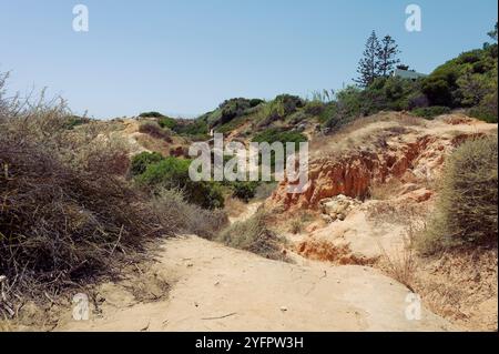 Trockene, zerklüftete Landschaft entlang des Wanderweges in der Nähe von Praia de São Rafael, mit wilder Vegetation und Erdtönen unter der hellen Sonne der Algarve Stockfoto