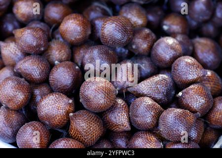 Salakobst oder Schlangenobst zum Verkauf auf dem lokalen Lebensmittelmarkt. Yogyakarta. Indonesien. Stockfoto