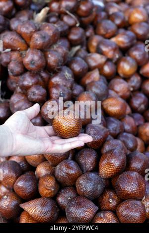 Salakobst oder Schlangenobst zum Verkauf auf dem lokalen Lebensmittelmarkt. Yogyakarta. Indonesien. Stockfoto