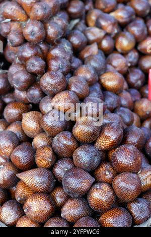 Salakobst oder Schlangenobst zum Verkauf auf dem lokalen Lebensmittelmarkt. Yogyakarta. Indonesien. Stockfoto