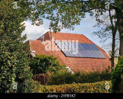 Erneuerbare Energien in den Niederlanden: Ein traditionelles Bauernhaus in Drenthe mit Solarpaneelen auf dem rot gekachelten Dach, umgeben von üppigem Grün, Showcasi Stockfoto