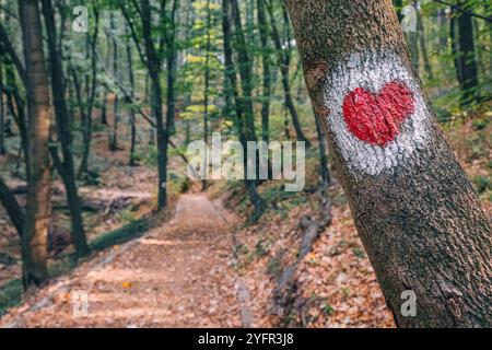Ein in einen Baumstamm gemaltes, herzförmiges Zeichen entlang eines Wanderweges im Wald von Fruska Gora, das die Liebe in der Natur symbolisiert Stockfoto