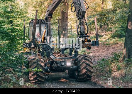 Schwere Maschinen, einschließlich eines Laders, die im Freien im Sommerwald eingesetzt werden und die Herausforderungen der Forstwirtschaft und des Holzeinschlags in der Natur hervorheben Stockfoto