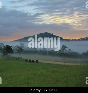 Sonnenaufgang im ländlichen New South Wales, Wauchope, Australien. Stockfoto