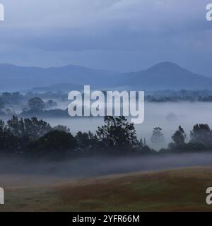 Ländliche Landschaft an einem nebeligen Herbstmorgen in der Nähe von Wauchope, New South Wales Stockfoto