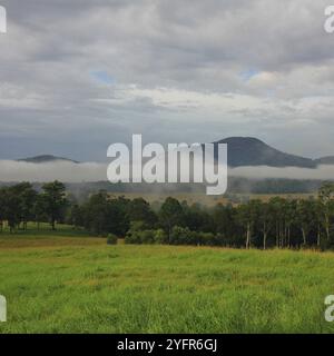 Nebelgürtel im ländlichen Wauchope, New South Wales. Stockfoto