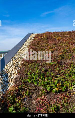 Weitläufiges ökologisch lebendes Grasdach mit Wurzelzone Abwasserbehandlungsanlage, sonniger Sommertag Stockfoto