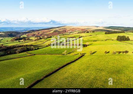 Farmen über Black Mountain von einer Drohne aus, Brecon Beacons National Park, Carmarthenshire, Wales, England Stockfoto