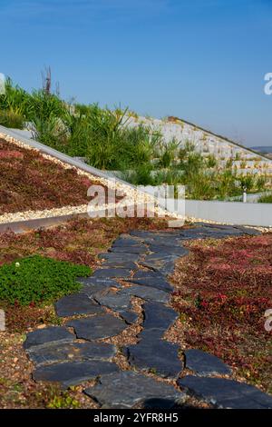 Weitläufiges ökologisch lebendes Grasdach mit Wurzelzone Abwasserbehandlungsanlage, sonniger Sommertag Stockfoto