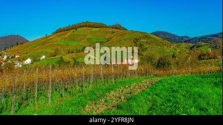 Das schöne Weingut Schloss Neuweier zwischen Sinzheim und Bühl. Baden Württemberg, Deutschland, Europa Stockfoto