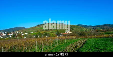 Das schöne Weingut Schloss Neuweier zwischen Sinzheim und Bühl. Baden Württemberg, Deutschland, Europa Stockfoto