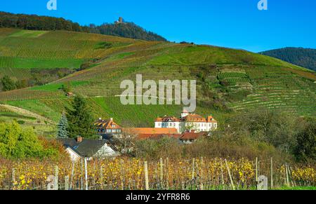 Das schöne Weingut Schloss Neuweier zwischen Sinzheim und Bühl. Baden Württemberg, Deutschland, Europa Stockfoto