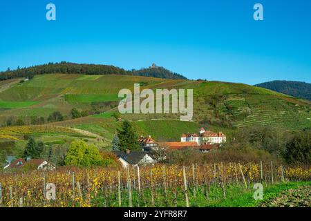 Das schöne Weingut Schloss Neuweier zwischen Sinzheim und Bühl. Baden Württemberg, Deutschland, Europa Stockfoto