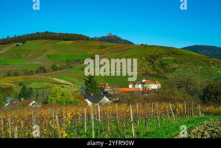 Das schöne Weingut Schloss Neuweier zwischen Sinzheim und Bühl. Baden Württemberg, Deutschland, Europa Stockfoto