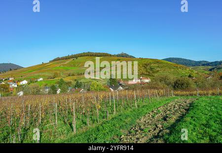 Das schöne Weingut Schloss Neuweier zwischen Sinzheim und Bühl. Baden Württemberg, Deutschland, Europa Stockfoto