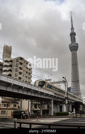 Der Tokyo Skytree überragt die urbane Landschaft mit einem Zug, der an einem bewölkten Tag in Japan darunter fährt Stockfoto