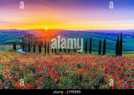 Asciano, Italy. Typical landscape of Val d'Orcia at sunset. Stockfoto