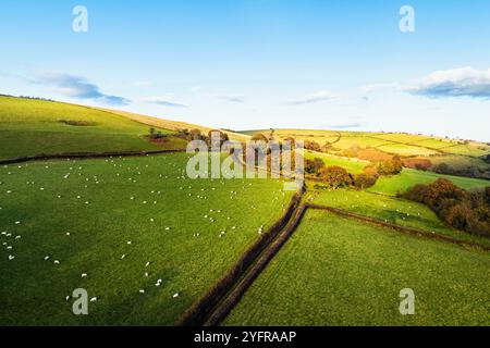 Farmen über Trecastle von einer Drohne bei Sonnenuntergang, Brecon Beacons National Park, Powys, Wales, England Stockfoto