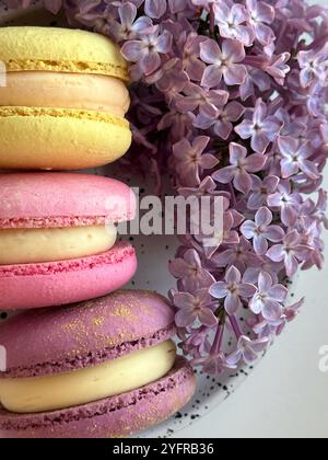 Macarons in verschiedenen Farben und Geschmacksrichtungen auf dem weißen Teller und frische Fliederblüten Stockfoto