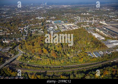 Luftbild, städt. Friedhof Blumenstraße und herbstliche Bäume, hinten das Vonovia Ruhrstadion Fußballstadion und Bundesligastadion des VfL Bochum 1848, rechts der Fernmeledturm Bochum, Altenbochum, Bochum, Ruhrgebiet, Nordrhein-Westfalen, Deutschland ACHTUNGxMINDESTHONORARx60xEURO *** Luftansicht, städtischer Friedhof Blumenstraße und herbstliche Bäume, im Hintergrund das Vonovia Ruhrstadion und Bundesligastadion des VfL Bochum 1848, rechts der Fernmeledturm Bochum, Altenbochum, Bochum, Ruhrgebiet, Nordrhein-Westfalen, Deutschland ATTENTIONxMINDESTHONORARx60xEURO Stockfoto