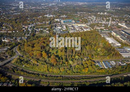 Luftbild, städt. Friedhof Blumenstraße und herbstliche Bäume, hinten das Vonovia Ruhrstadion Fußballstadion und Bundesligastadion des VfL Bochum 1848, rechts der Fernmeledturm Bochum, Altenbochum, Bochum, Ruhrgebiet, Nordrhein-Westfalen, Deutschland ACHTUNGxMINDESTHONORARx60xEURO *** Luftansicht, städtischer Friedhof Blumenstraße und herbstliche Bäume, im Hintergrund das Vonovia Ruhrstadion und Bundesligastadion des VfL Bochum 1848, rechts der Fernmeledturm Bochum, Altenbochum, Bochum, Ruhrgebiet, Nordrhein-Westfalen, Deutschland ATTENTIONxMINDESTHONORARx60xEURO Stockfoto