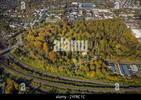 Luftbild, städt. Friedhof Blumenstraße und herbstliche Bäume, hinten das Vonovia Ruhrstadion Fußballstadion und Bundesligastadion des VfL Bochum 1848, Altenbochum, Bochum, Ruhrgebiet, Nordrhein-Westfalen, Deutschland ACHTUNGxMINDESTHONORARx60xEURO *** Luftansicht, städtischer Friedhof Blumenstraße und herbstliche Bäume, hinter dem Vonovia Ruhrstadion und Bundesligastadion des VfL Bochum 1848, Altenbochum, Bochum, Ruhrgebiet Nordrhein-Westfalen, Deutschland ACHTUNGxMINDESTHONORARx60xEURO Stockfoto