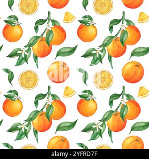 Orangenfrucht mit nahtlosem Muster in Aquarellen. Handgezeichnete botanische Illustration, isoliert auf weißem Hintergrund. Für Tapeten, Textilien, Geschenkpapier. Stockfoto