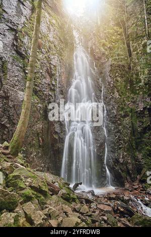 Der Burgbach-Wasserfall im Nadelwald fällt über Granitfelsen in das Tal bei Bad Rippoldsau-Schapbach, Schwarzwald, Deutschland. Deutschland, Amazin Stockfoto