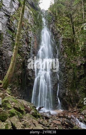 Der Burgbach-Wasserfall im Nadelwald fällt über Granitfelsen in das Tal bei Bad Rippoldsau-Schapbach, Schwarzwald, Deutschland. Deutschland, Amazin Stockfoto