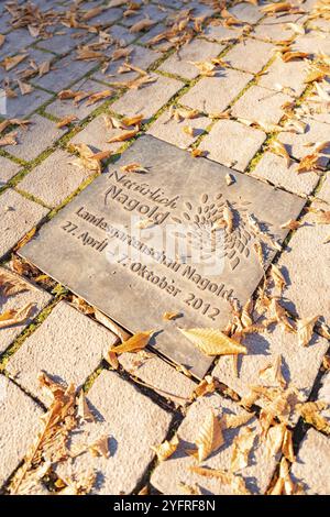 Gedenkstein umgeben von Herbstlaub auf einem Kopfsteinpflasterweg, Nagold, Schwarzwald, Deutschland, Europa Stockfoto