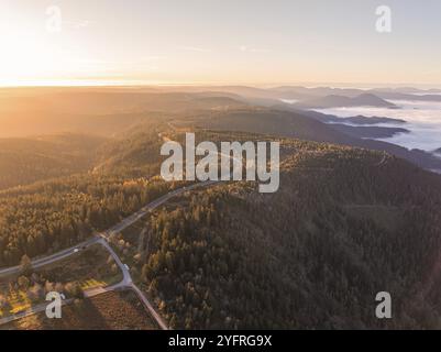 Eine kurvige Straße schlängelt sich durch dichte Wälder in einer nebeligen Berglandschaft, Schwarzwald, Deutschland, Europa Stockfoto